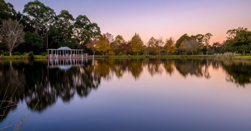 Food Box Mate's in-depth analysis reveals Australia's most loved picnic spots. Fagan Park in greater Sydney secures top spot.