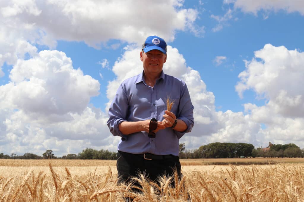 A Grains Research and Development Corporation (GRDC) investment has released outcomes on the most profitable and least risky cropping rotations.