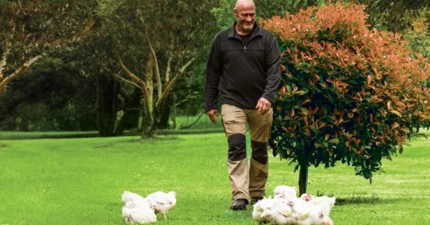 The Free Ranger shares the provenance of its free-range meat-chickens, raised on farms in VIC's Gippsland and Mornington Peninsula, SA’s Riverland, and QLD’s food-bowl.